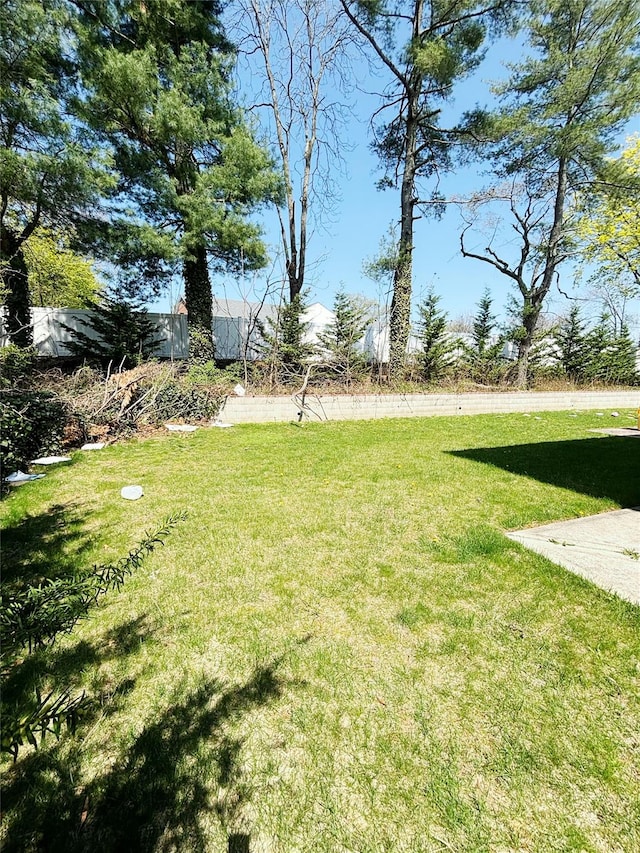 300 Ellen Pl, Oyster Bay, NY 11753 - view of yard