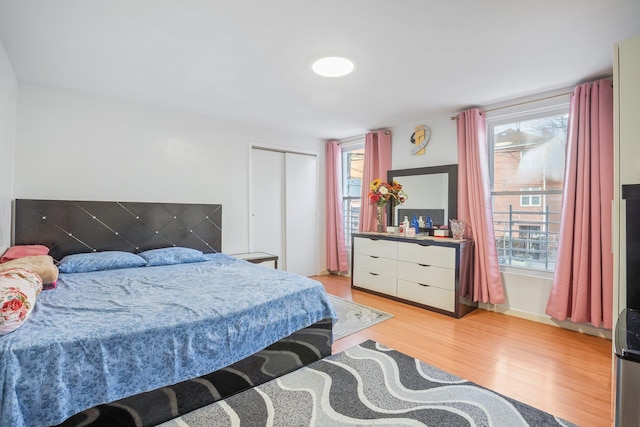 438 Shepherd Ave, Brooklyn, NY 11208 - bedroom with light wood finished floors, a closet, and baseboards