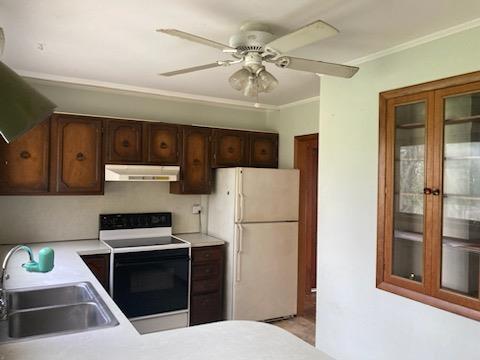 29 S Plank Rd, Westtown, NY 10998 - kitchen with a sink, freestanding refrigerator, electric range oven, under cabinet range hood, and ornamental molding