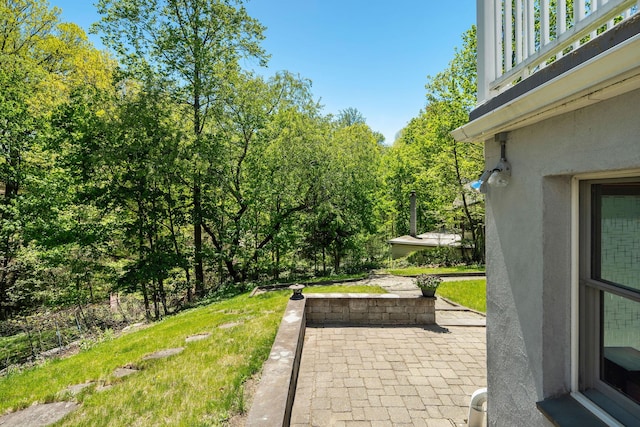 view of yard with a patio