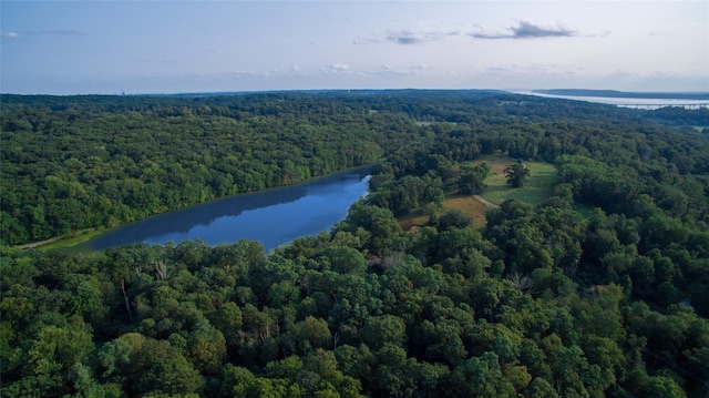 birds eye view of property with a water view and a wooded view