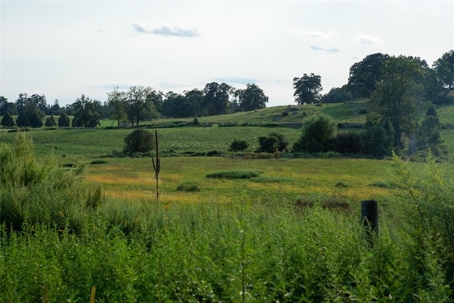 view of landscape with a rural view