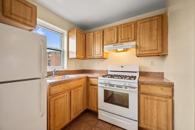 338 Hendrix St, Brooklyn, NY 11207 - kitchen with under cabinet range hood, dark tile patterned floors, a sink, and white appliances
