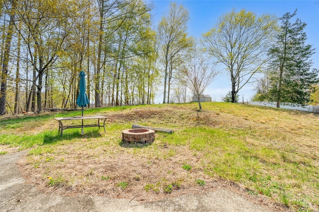 view of yard with an outdoor fire pit