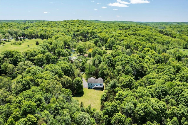 19 Old Bulls Head Rd, Rhinebeck, NY 12572 - view of subject property featuring a forest