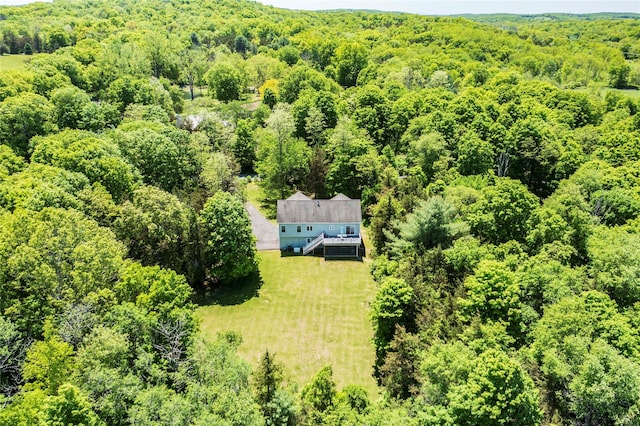 19 Old Bulls Head Rd, Rhinebeck, NY 12572 - aerial view of property and surrounding area with a forest