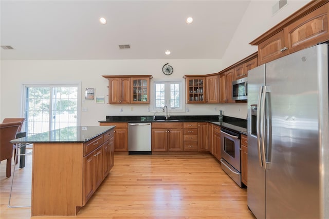 19 Old Bulls Head Rd, Rhinebeck, NY 12572 - kitchen featuring stainless steel appliances, a sink, light wood-type flooring, glass insert cabinets, and vaulted ceiling