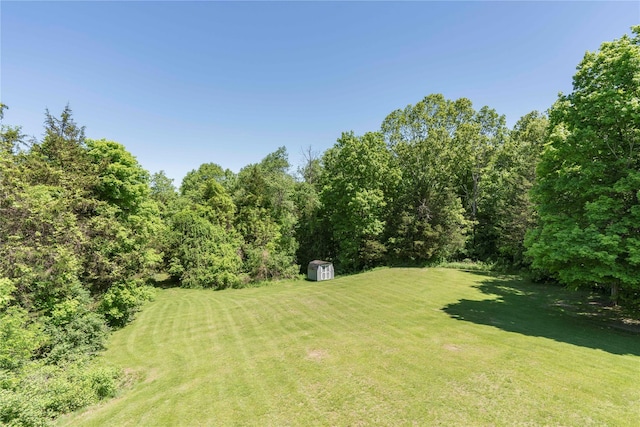 19 Old Bulls Head Rd, Rhinebeck, NY 12572 - view of green lawn
