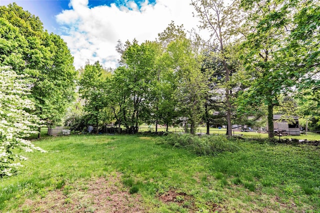 49 Lorraine Dr, Rhinebeck, NY 12572 - view of yard with fence