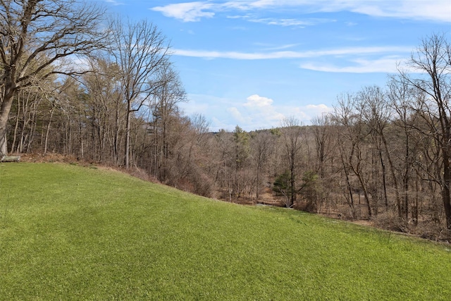 270 Milan Hollow Rd, Rhinebeck, NY 12572 - photo 27