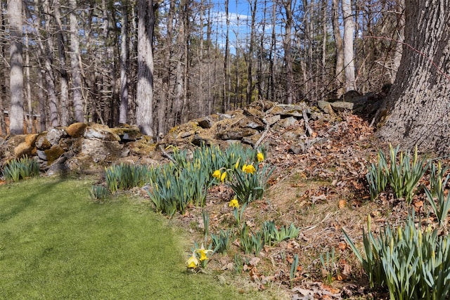 270 Milan Hollow Rd, Rhinebeck, NY 12572 - photo 26