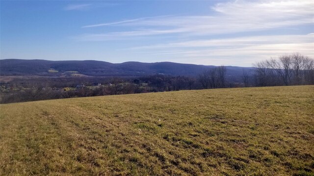 State Line Rd, Westtown, NY 10998 - photo 9