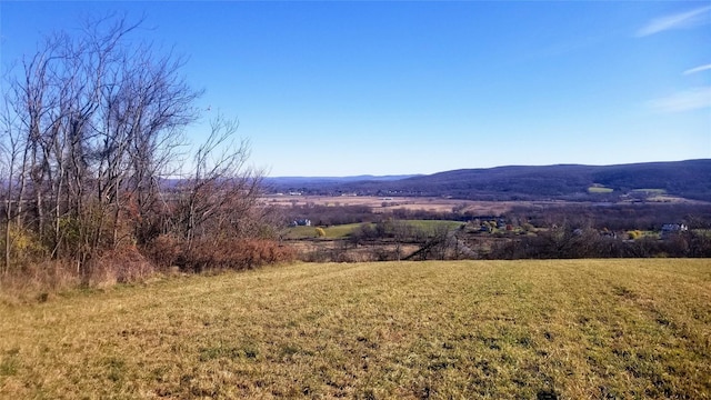 State Line Rd, Westtown, NY 10998 - photo 10