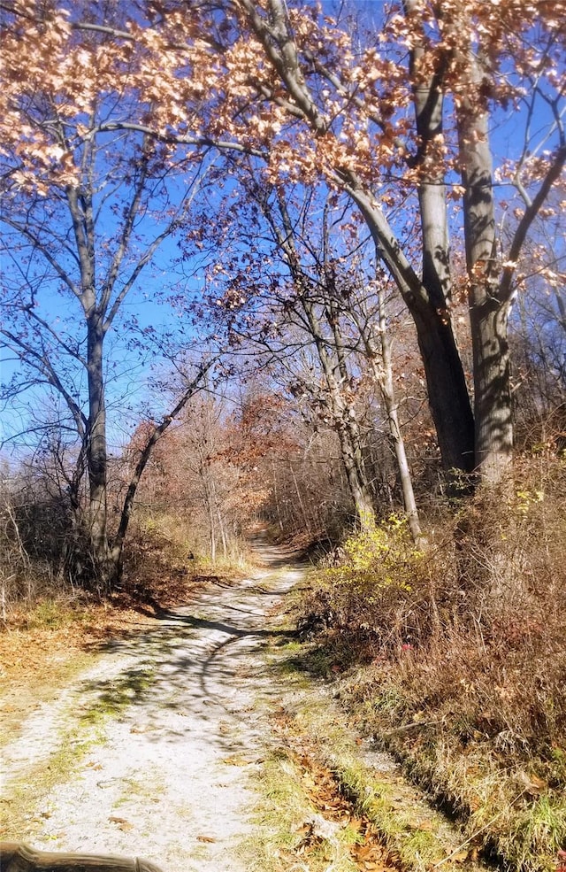 State Line Rd, Westtown, NY 10998 - photo 11
