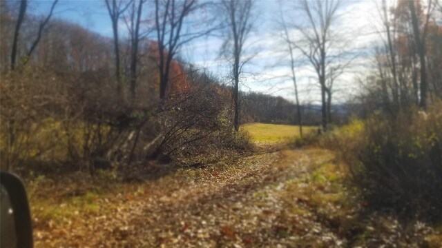 State Line Rd, Westtown, NY 10998 - photo 13