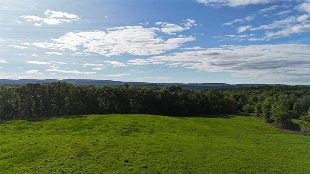 State Line Rd, Westtown, NY 10998 - photo 8