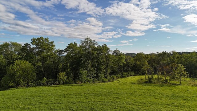 State Line Rd, Westtown, NY 10998 - photo 7