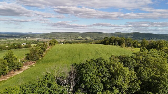 State Line Rd, Westtown, NY 10998 - photo 6
