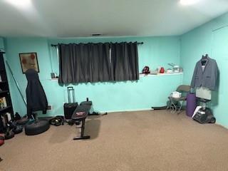 workout area featuring carpet floors