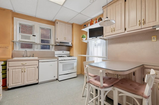 kitchen featuring a paneled ceiling, white appliances, light countertops, under cabinet range hood, and a sink