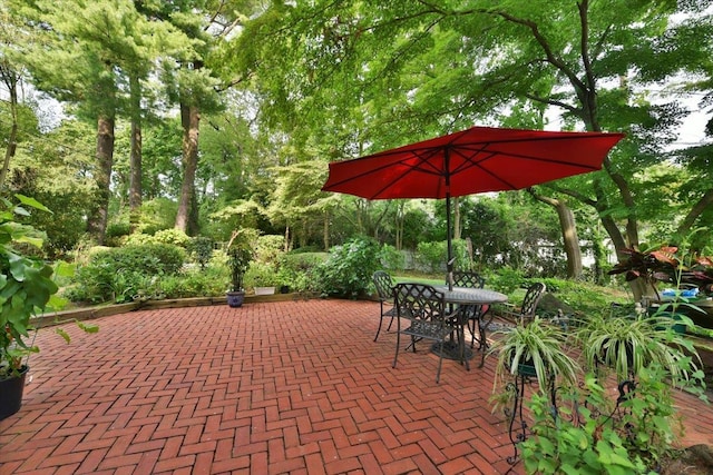 8 Magnolia Dr, Great Neck, NY 11021 - photo 33