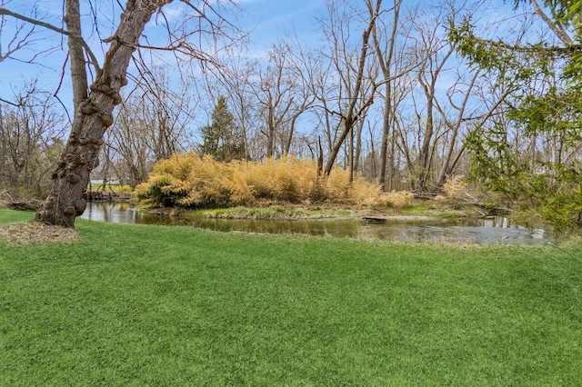 view of grassy yard
