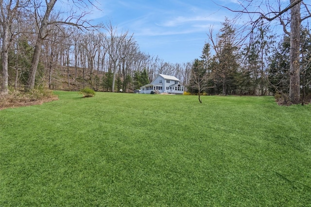view of green lawn