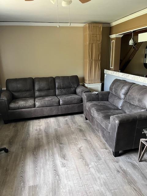 2659 Rte 52, Hopewell Junction, NY 12533 - living room with a ceiling fan, crown molding, and wood finished floors