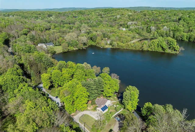 2716 Salt Point Tpke, Clinton Corners, NY 12514 - bird's eye view of a heavily wooded area and a large body of water