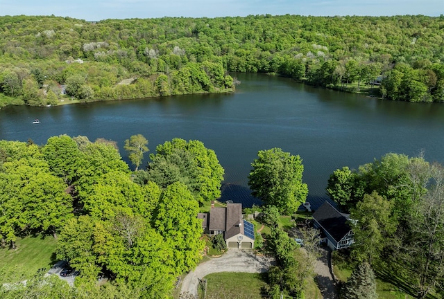 2716 Salt Point Tpke, Clinton Corners, NY 12514 - view of subject property with a forest and a nearby body of water