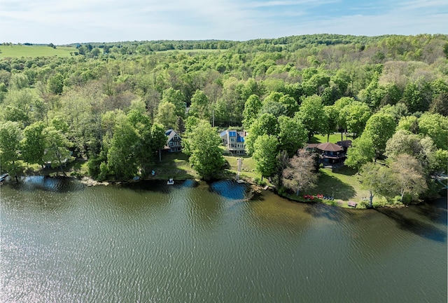 2716 Salt Point Tpke, Clinton Corners, NY 12514 - bird's eye view of a heavily wooded area and a nearby body of water