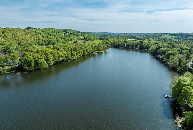 2716 Salt Point Tpke, Clinton Corners, NY 12514 - bird's eye view of a large body of water and a forest