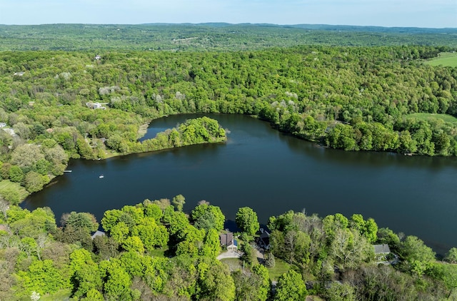 2716 Salt Point Tpke, Clinton Corners, NY 12514 - aerial overview of property's location featuring a forest and a nearby body of water