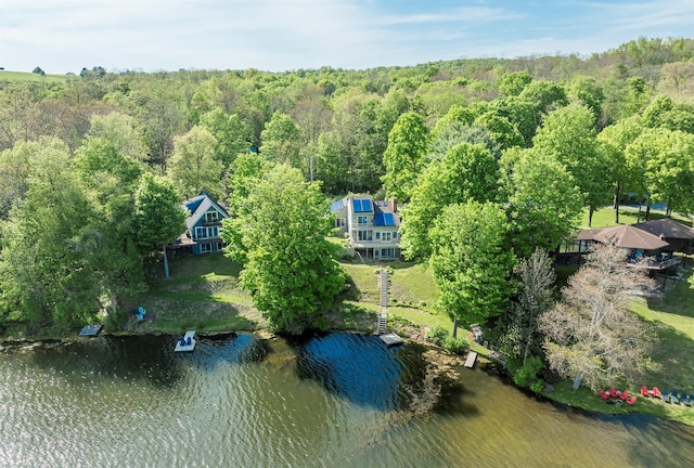 2716 Salt Point Tpke, Clinton Corners, NY 12514 - view of subject property featuring a heavily wooded area and a large body of water