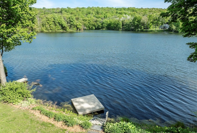 2716 Salt Point Tpke, Clinton Corners, NY 12514 - water view featuring a forest