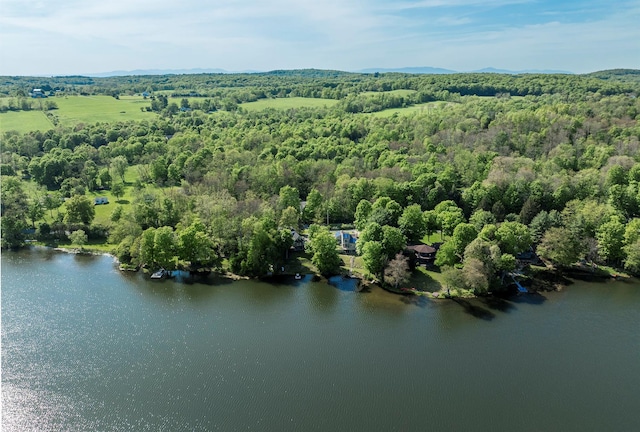 2716 Salt Point Tpke, Clinton Corners, NY 12514 - bird's eye view of a heavily wooded area and a large body of water