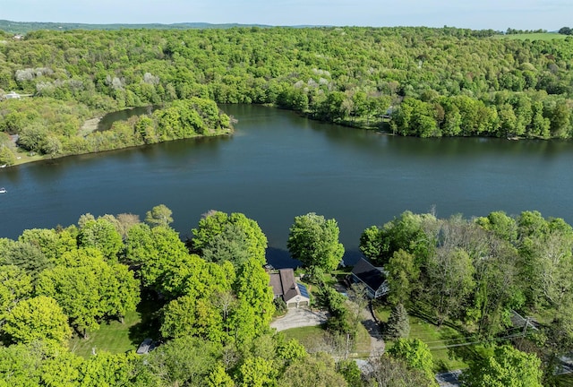 2716 Salt Point Tpke, Clinton Corners, NY 12514 - bird's eye view of a forest and a large body of water
