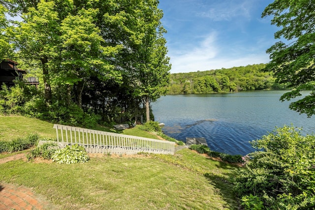 2716 Salt Point Tpke, Clinton Corners, NY 12514 - water view featuring a forest