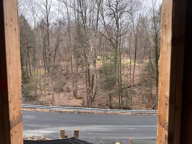 525 Millbrook Dr, Esopus, NY 12429 - photo 5