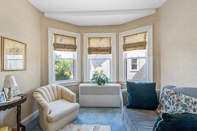 35-30 211th St, Bayside, NY 11361 - sitting room featuring carpet
