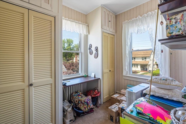 35-30 211th St, Bayside, NY 11361 - carpeted bedroom featuring multiple closets, crown molding, and wallpapered walls