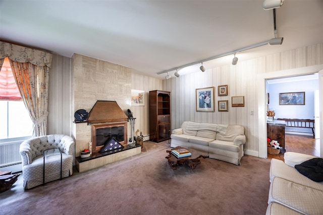 655 Vassar Rd, Poughkeepsie, NY 12603 - carpeted living area with rail lighting, a stone fireplace, and a baseboard heating unit