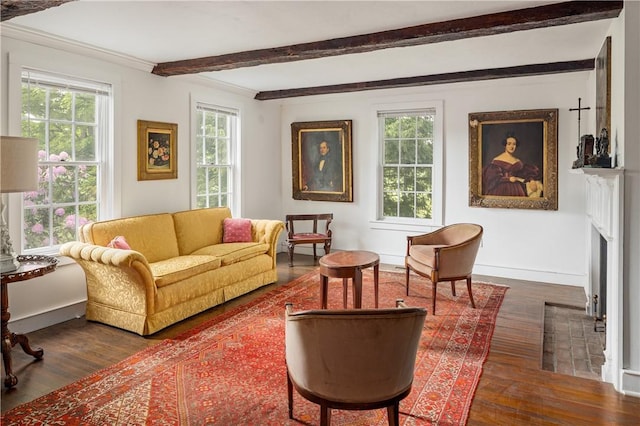 living room featuring baseboards, beamed ceiling, and wood finished floors