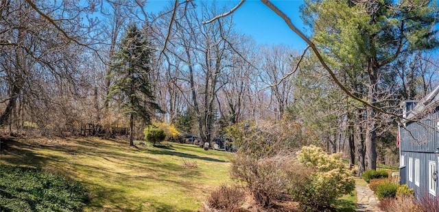 36 Byrds Hill Rd, Pawling, NY 12564 - view of green lawn