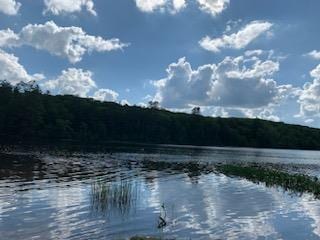 22 Ballard St, Smallwood, NY 12778 - property view of water