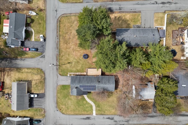drone / aerial view