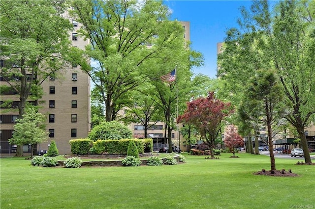 5 Fordham Hill Oval Unit 11H, Bronx, NY 10458 - surrounding community featuring a yard