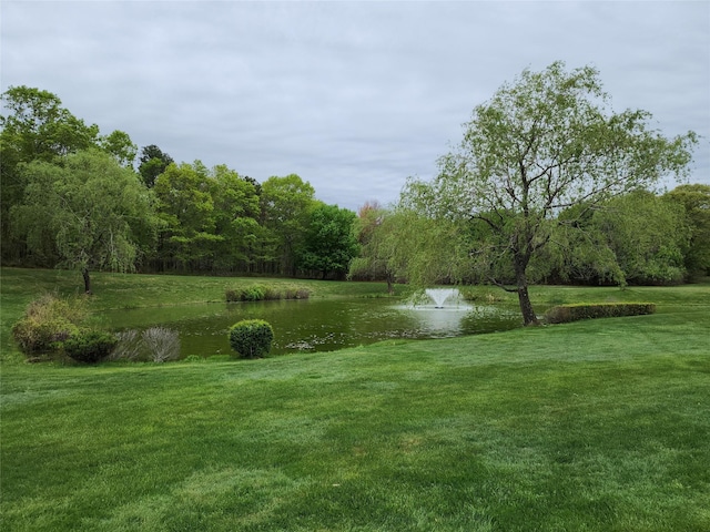 288 Ranch Cir, Manorville, NY 11949 - photo 17