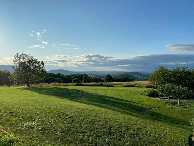 310 Carpenter Hill Rd, Pine Plains, NY 12567 - photo 43