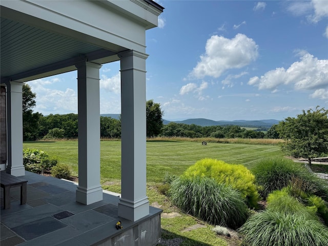 310 Carpenter Hill Rd, Pine Plains, NY 12567 - photo 3